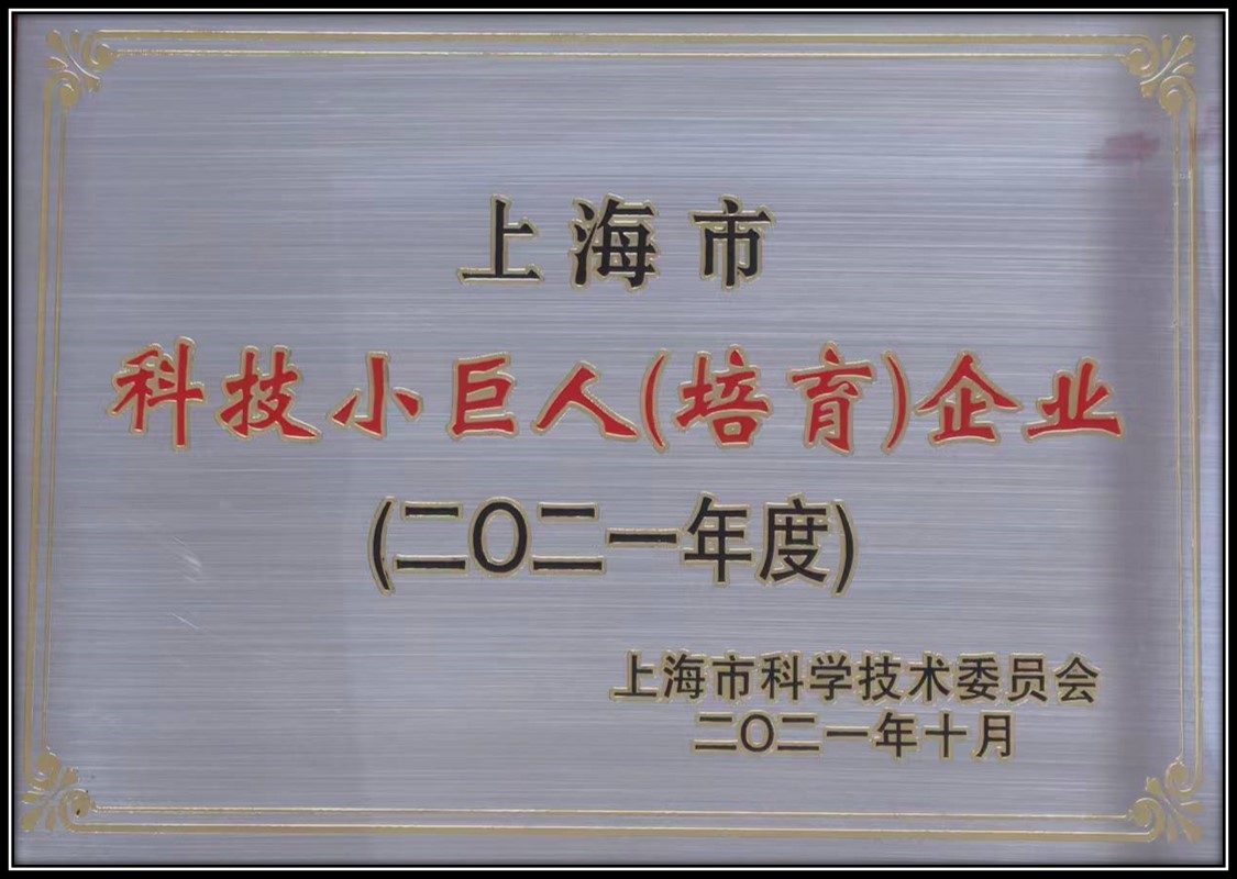 上海市小巨人.jpg